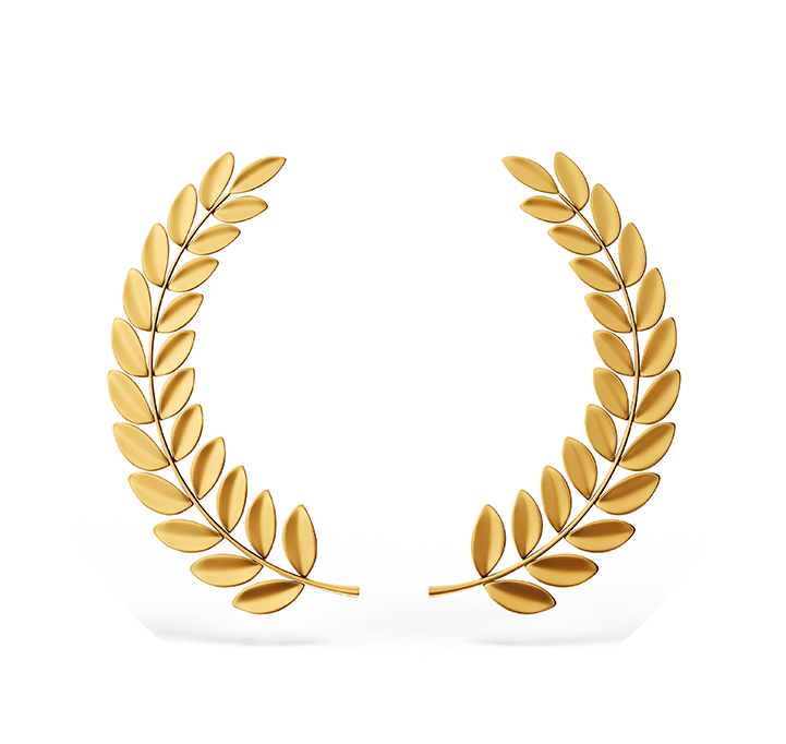 Very nice award feather in gold
